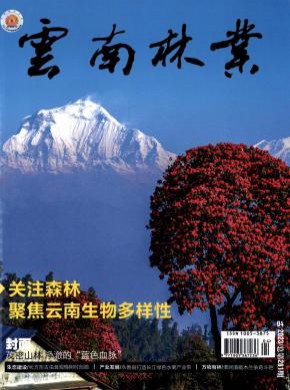 云南林业